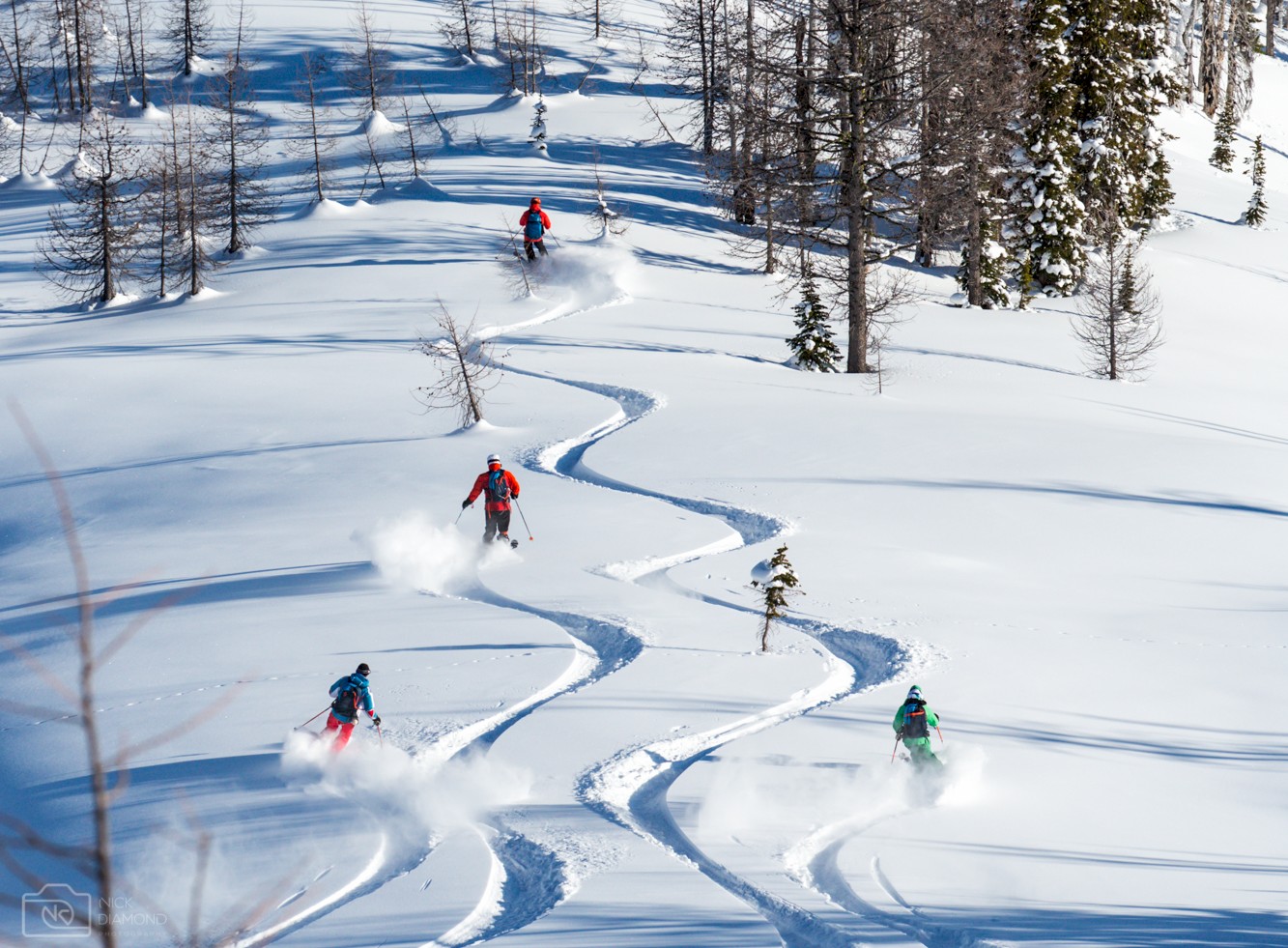 Small group powder heli skiing in British Columbia.