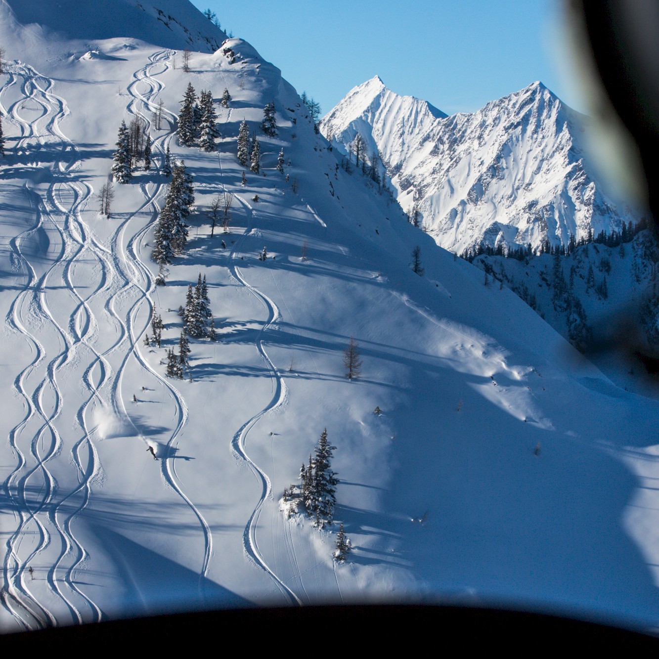 World famous Kootenay powder skiing at Stellar Heliskiing.