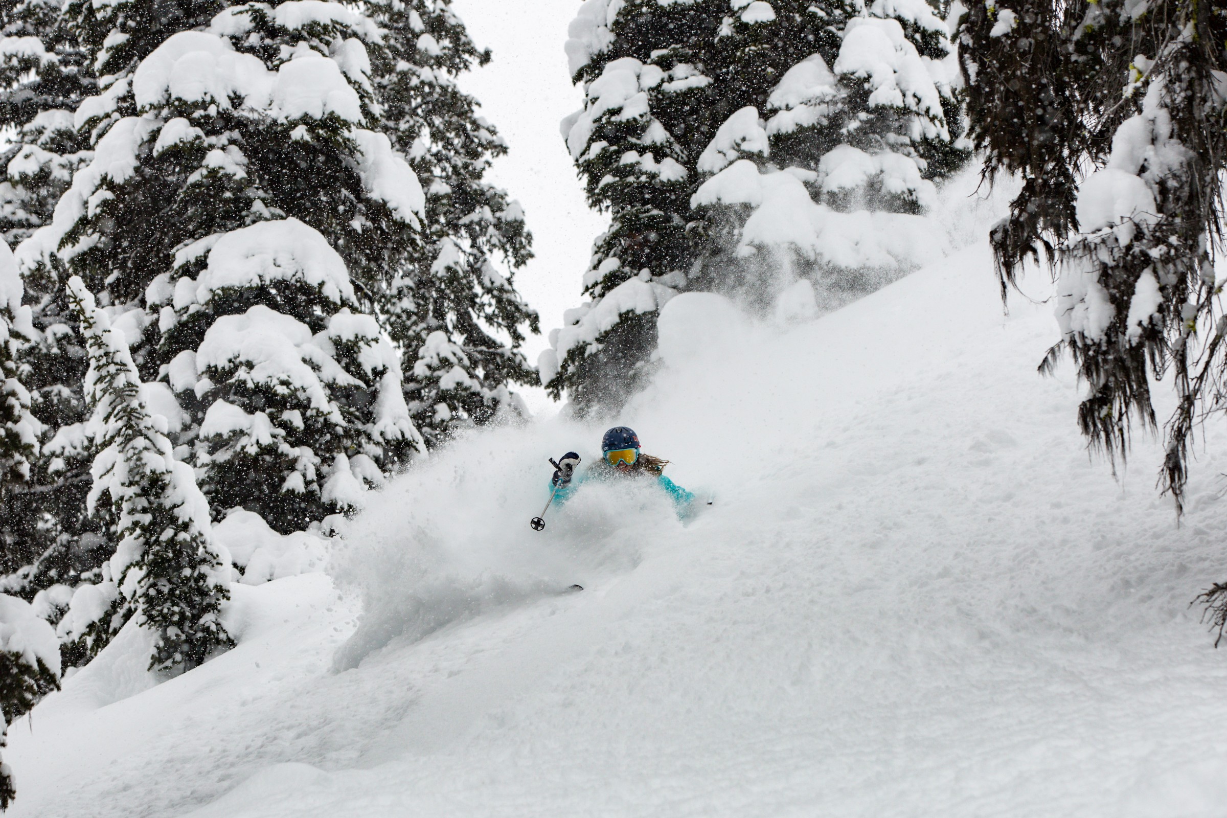 Book your dream heliski trip today | Stellar Heliskiing, BC Canada