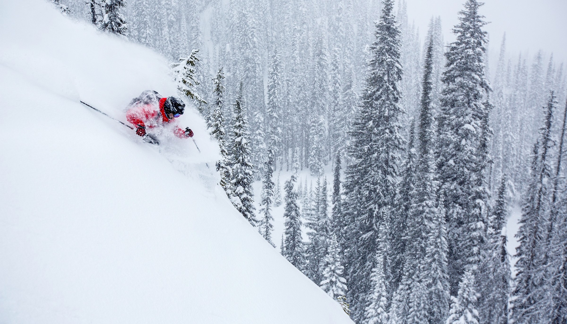 Best powder skiing in Kalso, BC,