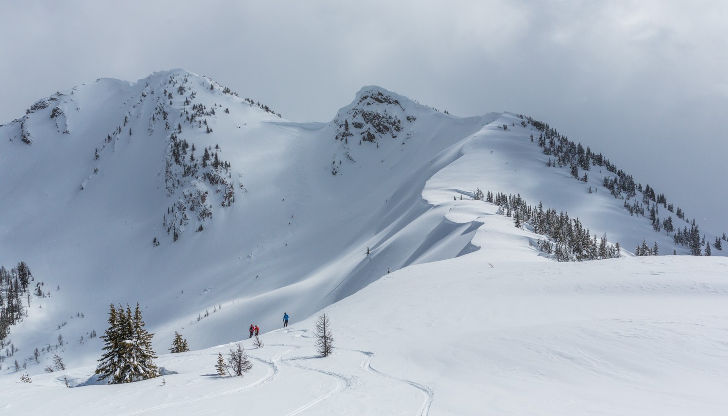 Stellar Heliskiing guest exploring alpine terrain .